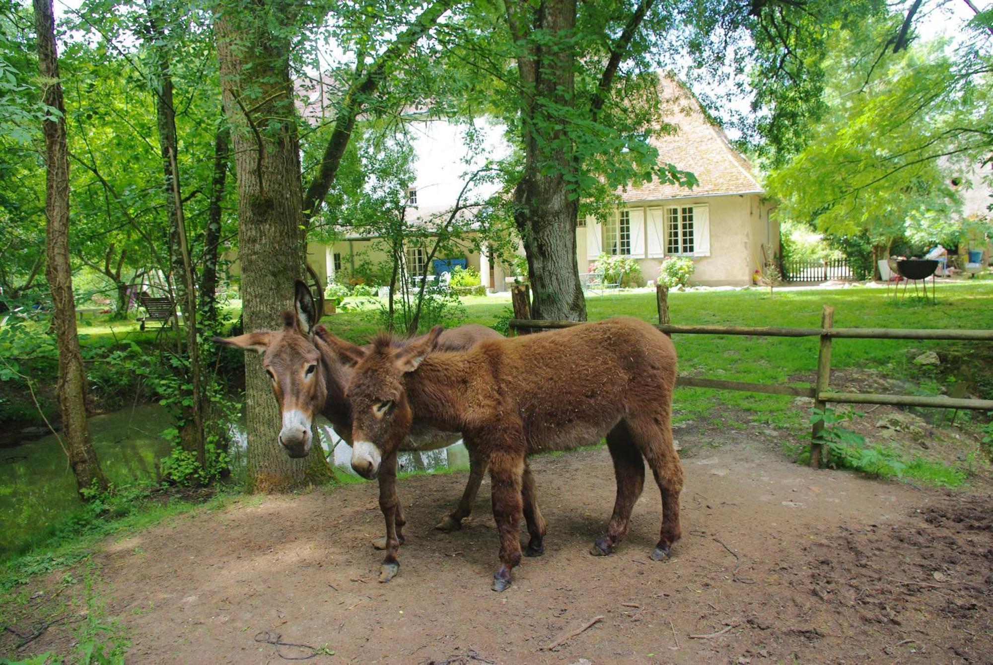 Maison D'Hotes Moulin Du Bas Pese Mont-près-Chambord Exteriér fotografie